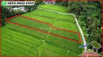 thumbnail-lahan-pinggir-jalan-kontur-datar-dijual-murah-area-penebel-5