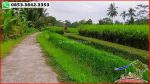 thumbnail-lahan-pinggir-jalan-kontur-datar-dijual-murah-area-penebel-2