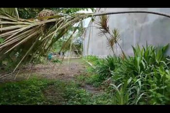 Tanah Disewakan jangka panjang dkt jln Magelang.SUPER STRATEGIS!!