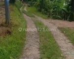 thumbnail-tanah-shm-murah-dg-view-hutan-cantik-di-payangan-ubud-dekat-banyak-resort-3