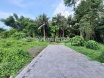 thumbnail-tanah-murah-dekat-pantai-kedungu-tabanan-lingkungan-villa-10