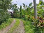 thumbnail-kebun-durian-dan-manggis-los-sungai-indah-di-bali-1