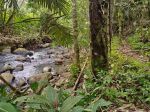 thumbnail-kebun-durian-dan-manggis-los-sungai-indah-di-bali-7