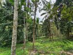 thumbnail-kebun-durian-dan-manggis-los-sungai-indah-di-bali-2