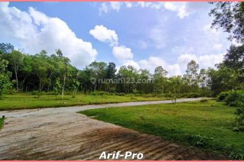 Kapling Istimewa Dekat Alun Alun Wates Legalitas SHM