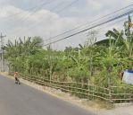 thumbnail-tanah-strategis-luas-1661m2-tambakan-bumirejo-pati-7