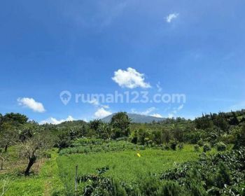 Tanah Kebun Murah di Bulukerto Bumiaji Kota Batu
