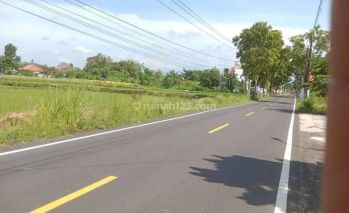 Jual Tanah Luas 1230m Lebar 31m Lokasi Kalasan Sleman Yogyakarta