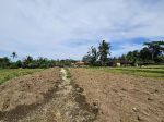 thumbnail-villa-di-ubud-dengan-view-sawah-8