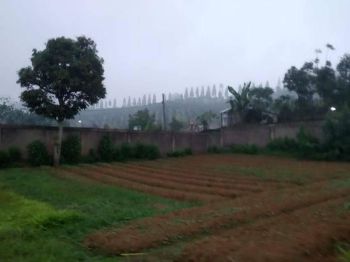 Tanah Murah Hanya 1 Jutaan. Dekat Cimory Dairyland Mountain View. SHM