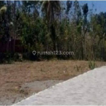 Tanah 3 Menit Kampus Uad Wates di Jl.kh Ahmad Dahlan