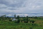 thumbnail-view-danau-dan-taman-kavling-diarea-keren-kota-baru-parahyangan-2