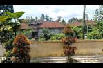 thumbnail-tanah-bonus-villa-lama-lokasi-bagus-dan-tenang-8