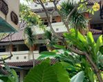 thumbnail-dijual-hotel-legian-kuta-mrs-ima-9