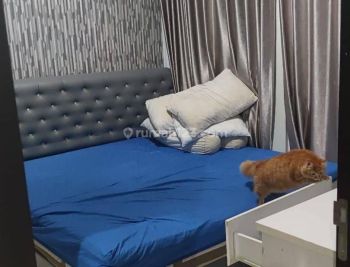 Rent Apartemen: Disewakan apartemen