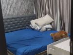 thumbnail-rent-apartemen-disewakan-apartemen-0