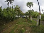 thumbnail-tanah-sangat-cocok-rumah-atau-villa-daerah-lovina-4