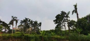 Ta Dijual Tanah Sangat Strategis Di Pamulang Barat