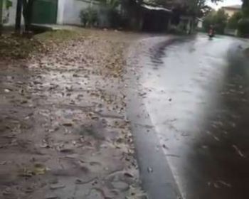 Dijual Cepat Tanah Dipinggir Jalan Raya Pondok Rajeg Cibinong