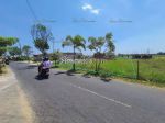 thumbnail-land-for-lease-in-seseh-beach-munggu-badung-3