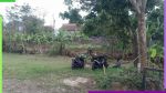 thumbnail-top-kavling-ready-dibangun-view-kota-sindanglaya-bandung-24h6-1