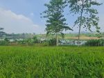 thumbnail-view-nyaman-bikin-relax-tanah-keren-area-kota-baru-parahyangan-3