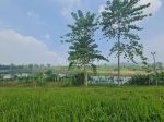 thumbnail-view-nyaman-bikin-relax-tanah-keren-area-kota-baru-parahyangan-4