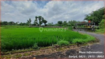 Tanah Kalasan 1jutaan Dekat Exit Tol Kalasan Aman