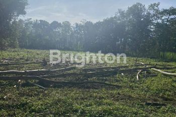 TANAH MURAH 4700 M² HARGA 750 JUTA NEGO DI SINGOSARI KOTA MALANG!