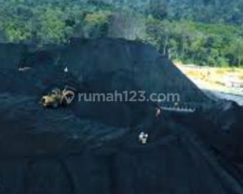 Tambang Batu Bara di Bentian Besar Kutai Barat Kalimantan Timur