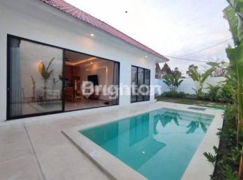 Villa 3 bedroom in tukad balian near sanur