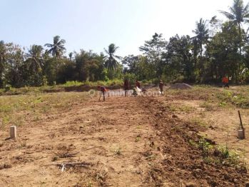 Cocok Investasi, Kavling 10 Menit Stasiun Cikoya