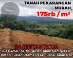 thumbnail-tanah-pekarangan-murah-di-boja-kendal-0