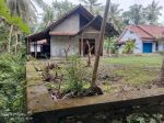 thumbnail-tanah-dijual-bonus-rumah-besar-di-pengasih-4