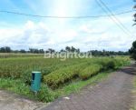 thumbnail-tanah-kavling-di-desa-wisata-baha-1