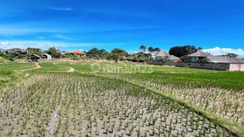 Rumah Villa Baru 2BDR Semi Furnished di Fins Recreation Club, Rice Field View