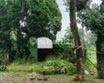 thumbnail-tanah-villa-cocok-dibangun-untuk-hotel-di-cipanas-cianjur-s7237-0