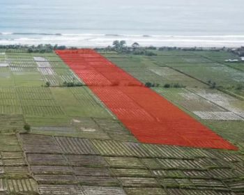 Tanah Los Pantai di Yeh Embang Jembrana - Bali