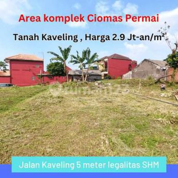 Tanah Kaveling Dalam Perumahan Ciomas Permai Bogor