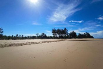 Sale Tanah: TANAH DI WAINGAPU