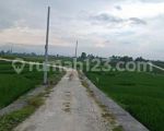 thumbnail-tanah-view-sawah-gunung-keren-di-canggu-area-7