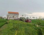 thumbnail-tanah-view-sawah-gunung-keren-di-canggu-area-6