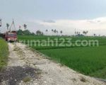 thumbnail-tanah-view-sawah-gunung-keren-di-canggu-area-3