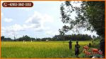 thumbnail-44000-m2-tanah-di-ubud-8-menit-dari-monkey-forest-8