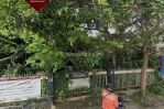 thumbnail-kavling-jl-h-samali-kalibata-pancoran-jakarta-selatan-2