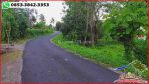 thumbnail-9500-m2-bentuk-tanah-ngantong-lokasi-dekat-tabanan-kota-4