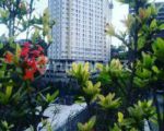 thumbnail-disewakan-tipe-studio-interior-mewah-apartemen-tengah-kota-semarang-7