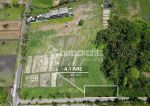 thumbnail-own-410-sqm-of-lush-land-in-kedungu-s-elite-pink-tourism-zone-0