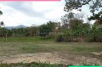 thumbnail-cuma-ini-kavling-siap-bangun-view-kota-sindanglaya-bandung-62h6-2