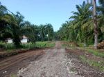 thumbnail-bu-dijual-tanah-pinggir-jalan-kinali-pasaman-barat-4